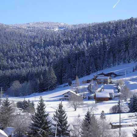 Chalet Renove Proche Du Valtin - Ideal Pour Famille, Randonnees Et Ski, Wifi, Luges Fournies - Fr-1-589-150 Ban-sur-Meurthe-Clefcy Exteriér fotografie