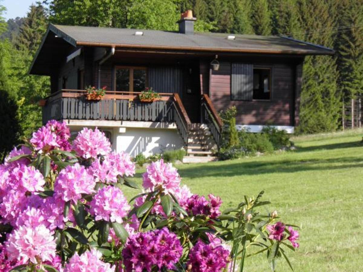 Chalet Renove Proche Du Valtin - Ideal Pour Famille, Randonnees Et Ski, Wifi, Luges Fournies - Fr-1-589-150 Ban-sur-Meurthe-Clefcy Exteriér fotografie