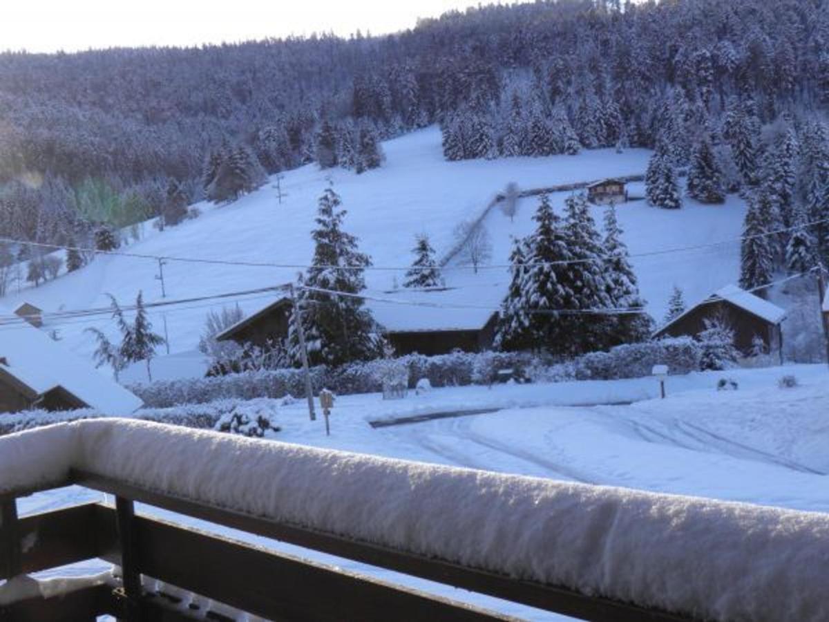 Chalet Renove Proche Du Valtin - Ideal Pour Famille, Randonnees Et Ski, Wifi, Luges Fournies - Fr-1-589-150 Ban-sur-Meurthe-Clefcy Exteriér fotografie
